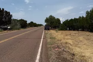 8700 Silver Creek Dr, Show Low, AZ 85901 - Photo 1