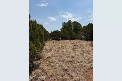 8700 Silver Creek Drive, Show Low, AZ 85901 - Photo 3