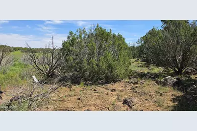 Tbd Cr 8026, Concho, AZ 85924 - Photo 7