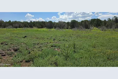 Tbd Cr 8026, Concho, AZ 85924 - Photo 5