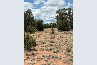 26 County Road 3048, Concho, AZ 85924 - Photo 3