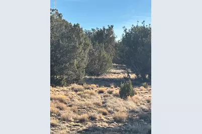26 County Road 3048, Concho, AZ 85924 - Photo 1