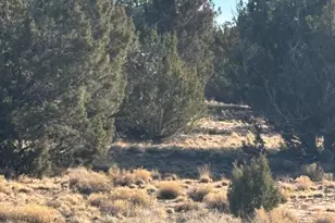 26 County Road 3048, Concho, AZ 85924 - Photo 1