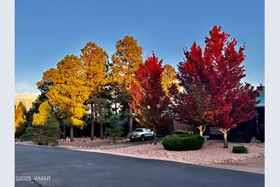 2344 S Buffalo Loop, Overgaard, AZ 85933 - Photo 43