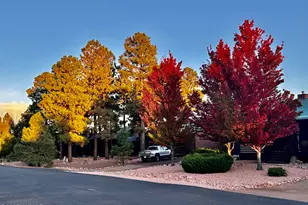 2344 S Buffalo Loop, Overgaard, AZ 85933 - Photo 43