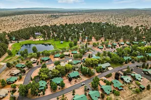 2344 S Buffalo Loop, Overgaard, AZ 85933 - Photo 23