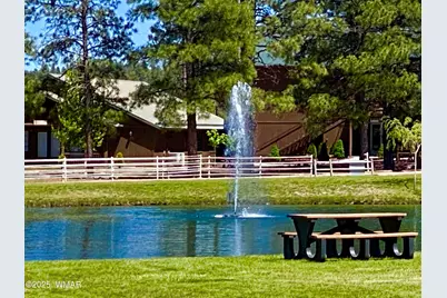 2344 S Buffalo Loop, Overgaard, AZ 85933 - Photo 45