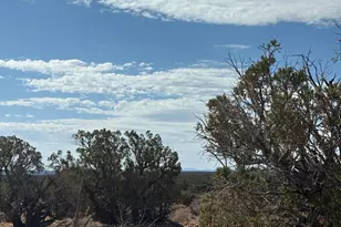 8580 D Lawson Ln, Snowflake, AZ 85937 - Photo 1