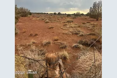 8341 Justin Lane, Snowflake, AZ 85937 - Photo 1