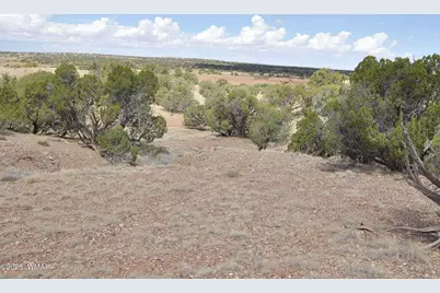 138 Jeff Lake Rd, Concho, AZ 85924 - Photo 47