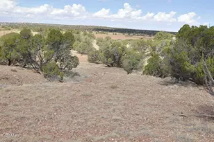 138 Jeff Lake Rd, Concho, AZ 85924 - Photo 47