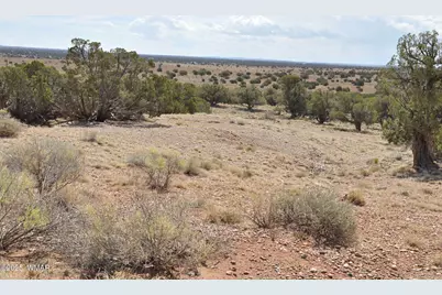 138 Jeff Lake Rd, Concho, AZ 85924 - Photo 29