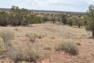 138 Jeff Lake Rd, Concho, AZ 85924 - Photo 29