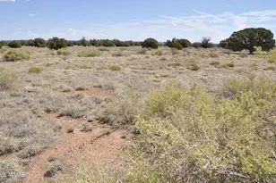 138 Jeff Lake Rd, Concho, AZ 85924 - Photo 25