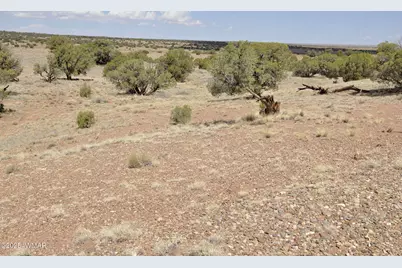 138 Jeff Lake Rd, Concho, AZ 85924 - Photo 49