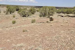 138 Jeff Lake Rd, Concho, AZ 85924 - Photo 49