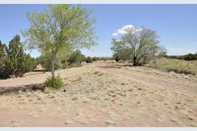 138 Jeff Lake Rd, Concho, AZ 85924 - Photo 23