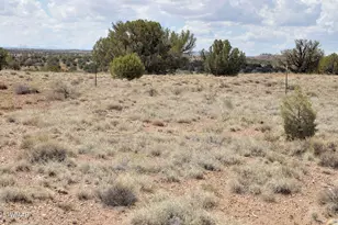 138 Jeff Lake Rd, Concho, AZ 85924 - Photo 45