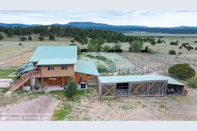 41451 Highway 180, Nutrioso, AZ 85932 - Photo 7