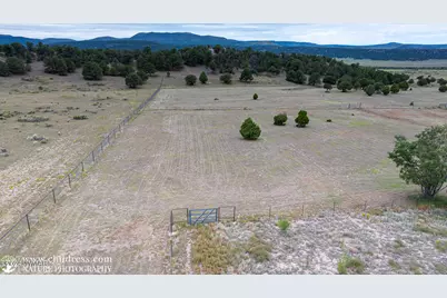 41451 Highway 180, Nutrioso, AZ 85932 - Photo 39