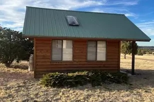 41451 Hwy 180, Nutrioso, AZ 85932 - Photo 9