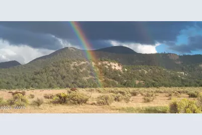 41451 Highway 180, Nutrioso, AZ 85932 - Photo 41