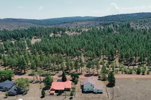 540 Rim Dr, Pinedale, AZ 85934 - Photo 33