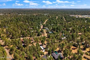 2884 Pine Rim Rd, Overgaard, AZ 85933 - Photo 75