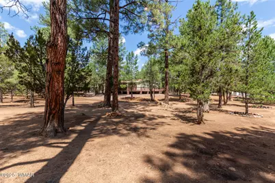2884 Pine Rim Road, Overgaard, AZ 85933 - Photo 5
