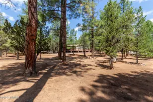 2884 Pine Rim Rd, Overgaard, AZ 85933 - Photo 5
