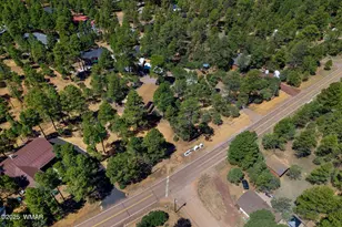 2884 Pine Rim Rd, Overgaard, AZ 85933 - Photo 71