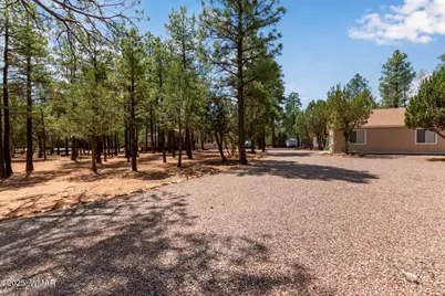 2884 Pine Rim Road, Overgaard, AZ 85933 - Photo 3