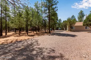 2884 Pine Rim Rd, Overgaard, AZ 85933 - Photo 3