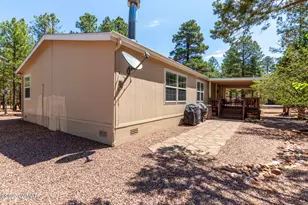 2884 Pine Rim Rd, Overgaard, AZ 85933 - Photo 41