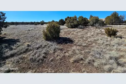1968 Ridgeway Road, Show Low, AZ 85901 - Photo 3