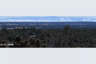 004B N N7411, Saint Johns, AZ 85936 - Photo 5