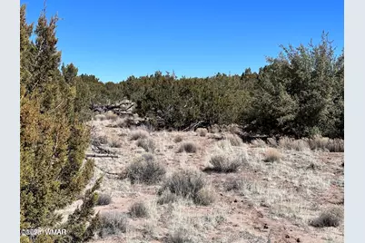 004B N N7411, Saint Johns, AZ 85936 - Photo 7