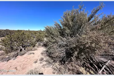 004B N N7411, Saint Johns, AZ 85936 - Photo 9