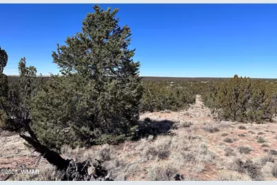 004B N N7411, Saint Johns, AZ 85936 - Photo 3