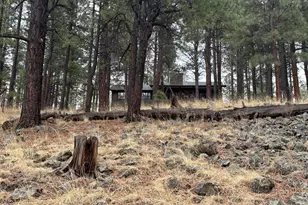 3 Acr 1029 St, Greer, AZ 85927 - Photo 89