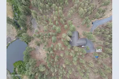 3 Acr 1029 Street, Greer, AZ 85927 - Photo 1