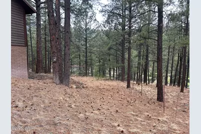 3 Acr 1029 Street, Greer, AZ 85927 - Photo 87