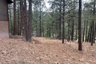 3 Acr 1029 St, Greer, AZ 85927 - Photo 87