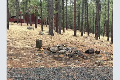 3 Acr 1029 Street, Greer, AZ 85927 - Photo 91