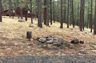 3 Acr 1029 St, Greer, AZ 85927 - Photo 91