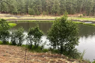 3 Acr 1029 St, Greer, AZ 85927 - Photo 3