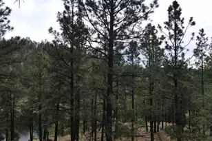 3 Acr 1029 St, Greer, AZ 85927 - Photo 7