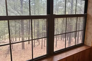 3 Acr 1029 St, Greer, AZ 85927 - Photo 53