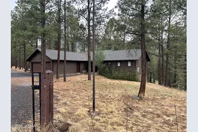 3 Acr 1029 Street, Greer, AZ 85927 - Photo 85