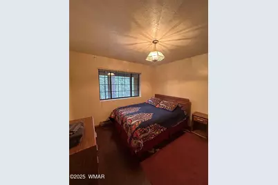 3 Acr 1029 Street, Greer, AZ 85927 - Photo 63